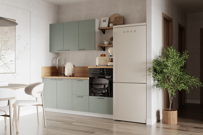 КГ 1950 Эмаль, Олива Арника РМ в.4