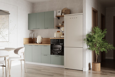 КГ 1950 Эмаль, Олива Арника РМ