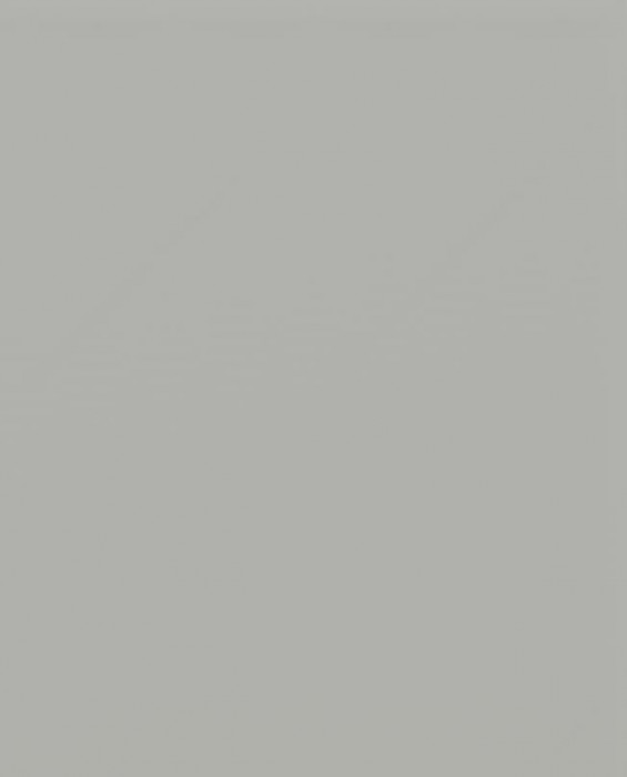 Ф-113 Катрин Фальшпанель (574х716х16) (нижние модуля) циркон