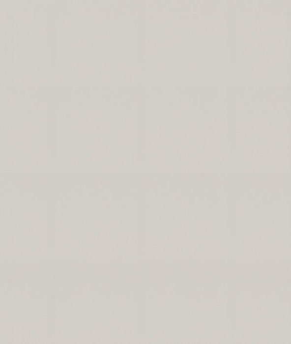 Ф-81 Альфа (ШНБ 150) МДФ холст белый