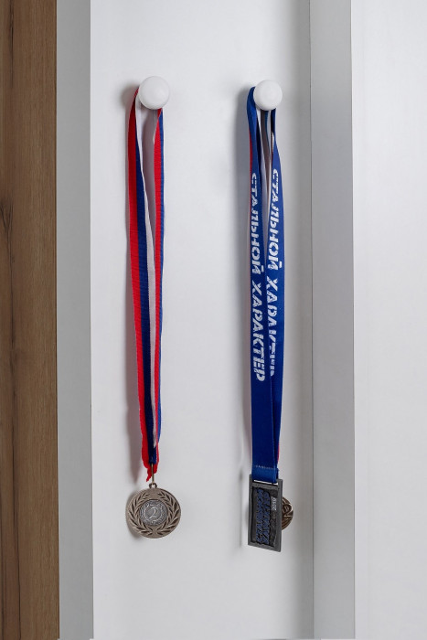 Шкаф МЦН Лойс 85